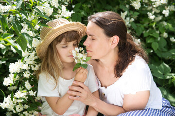mom and little daughter holding and inhaling jasmine scent amid flowering jasmine bushes in garden...