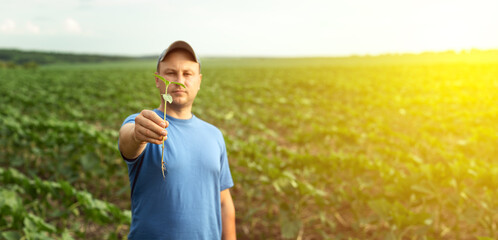 A farmer holds sunflower seedlings in his hands, selective focus.Agronomist farmer in an agricultural field