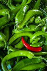  Raw Green Organic Serrano Peppers.  green chili peppers