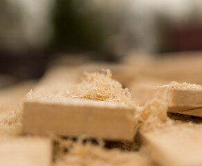 shavings from spruce wood close-up on the background of boards. Macro photography in constant light