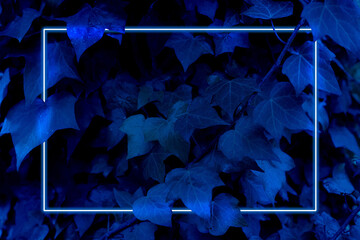 plantas con marco de luz neon