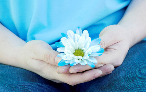 Beautiful Blue in Hand