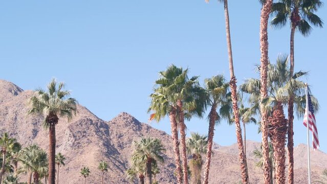 Row of palm trees and mountain or hill, sunny Palm Springs vacations resort near Los Angeles, Old Las Palmas, California valley nature, USA. Arid dry climate plants, desert oasis flora. American flag.