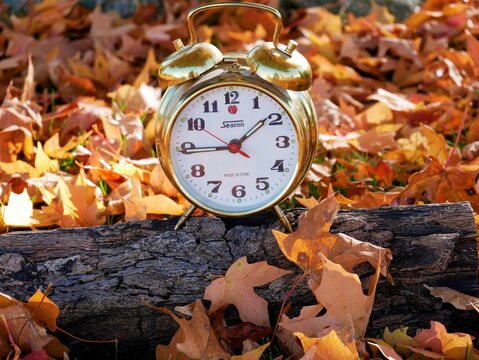 Time for Autumn