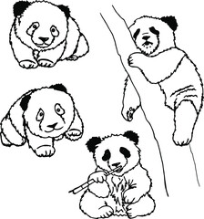 Hand-drawn pandas in vector. Set of lazy pandas drawn in ink. Animals in the wild. Elements for creating decor. Drawn simple panda. Zoo.