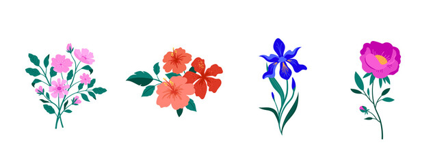 Spring botanical flowers illustrations. Blooming garden flowers. Irises, peony, anemone and hibiscus. 