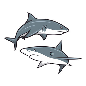 Vector Cartoon Shark Set Isolated. Hand Drawn Colored White Sharks with Contour. Ocean Predator. Marine, Ocean, Sea Animals. Shark Character Design for Logo, Tatto, Print, Cards