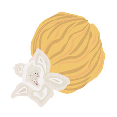 Ball of tasty vanilla ice cream on white background