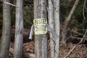 Posted no hunting sign in the forest
