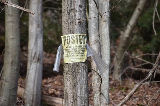 Posted no hunting sign in the forest