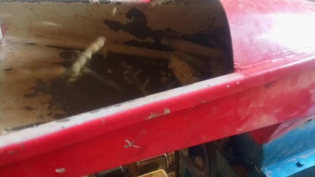 Maize with cob being put into a maize sheller machine footage. Shelling maize. A thresher. Close up view of the input process. Method of removing maize grain from the cob. Hand held footage. Audio.