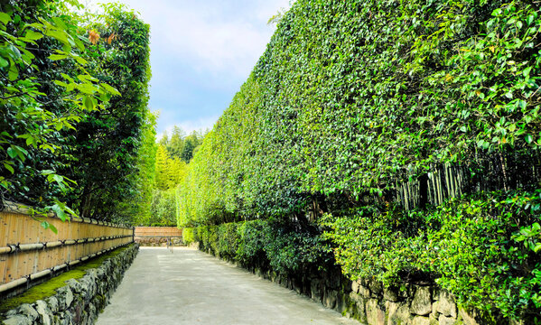 銀閣寺垣 Images – Browse 8 Stock Photos, Vectors, and Video