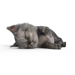 3d-illustration of an isolated cute baby cat sleeping