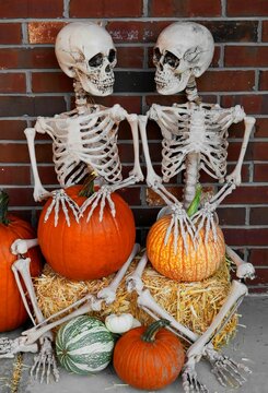 Bone Buddies