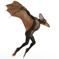 3d-illustration of an isolated creepy fantasy werebat