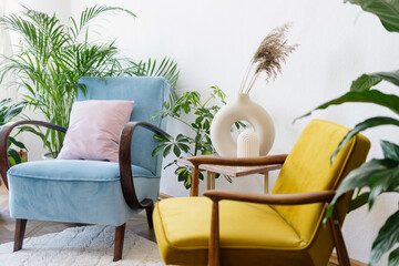 Two vintage armchairs surrounded by indoor plants