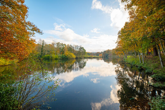Autumn Mirroracle