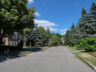 Suburban residential street of large traditional detached houses, lined with trees