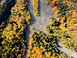 tone river know as Zlatnite Mostove at Vitosha Mountain, Bulgaria