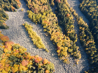 tone river know as Zlatnite Mostove at Vitosha Mountain, Bulgaria