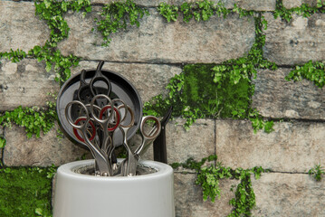 Scissors of various sizes in a sterilization container