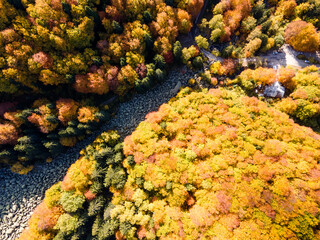 tone river know as Zlatnite Mostove at Vitosha Mountain, Bulgaria