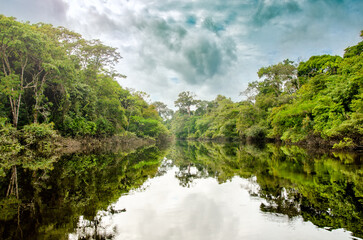río en la selva con un espectacular reflejo del agua - Reserva nacional Pacaya Samiria, Peru, Amazonia  - obrazy, fototapety, plakaty