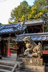 近津尾神社