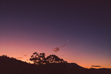pink and purple sunset sky with crescent moon and no clouds over the mountains with eucalyptus gum trees silhouettes
