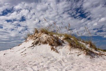 The First Sand Dune