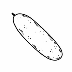Cucumber on white background. Healthy vegetable. Vector doodle illustration. Hand drawn sketch.