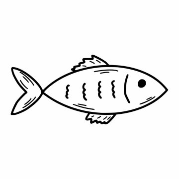 Cute fish in doodle style. Food products. Vector doodle illustration. Sketch.