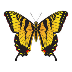 Tiger Swallowtail Butterfly - Yellow and Black Striped Butterfly Vector Illustration