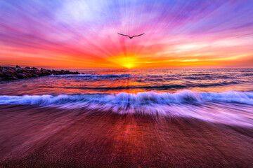 Sunset Inspirational Bird Surreal Beautiful Ethereal Nature Hope Faith Sunrise Silhouette
