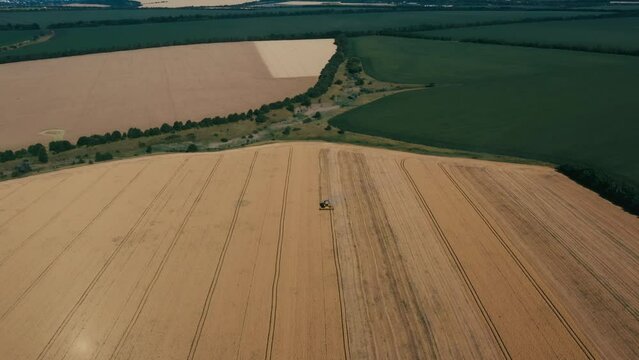 4K Aerial view of the cereal crop. The drone was fired while flying over a combine harvester operating in a wheat field. Harvester for harvesting wheat in the field Work in progress. Field after harve