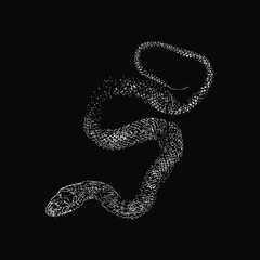 Japanese rat snake hand drawing vector illustration isolated on black background
