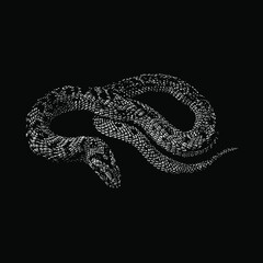 Night Adder Snake hand drawing vector illustration isolated on black background