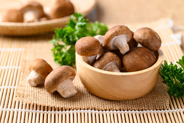 Fresh shiitake mushroom, edible mushroom and food ingredient in Asian cuisine