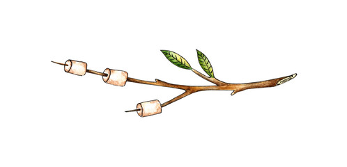 Watercolor illustration of roasted marshmallows on a stick. Outdoor recreation, camping. For the design of design compositions on the theme of tourism, hiking, outdoor recreation. isolated on white