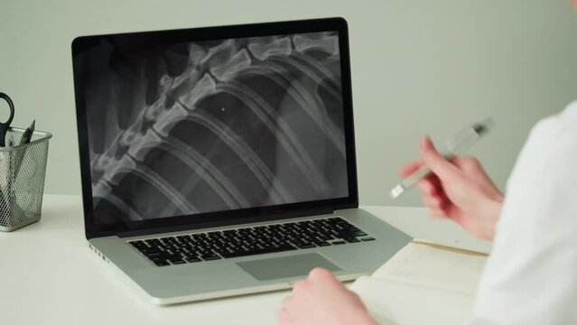Doctor veterinarian examining horse skeleton roentgen on laptop computer. Woman vet analyzing animal bones x-ray close-up. Healthcare and medicine concept. 