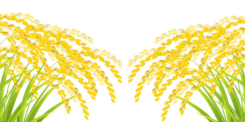 米　稲　秋　背景