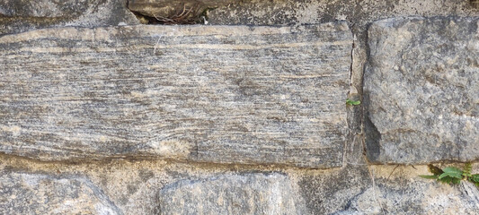 tile wall fence stone rock granite marble pattern hole leaf plant flower foliage green vegetation rainforest bush ivy outdoor tree sky nature life hedge