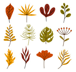 Colorful autumn leaves vector collection. Hand drawn sketch of forest, meadow plants. Leaves of garden and wild trees - maple, oak, horsetail, poppy, palm. Collection of flat botanical clipart