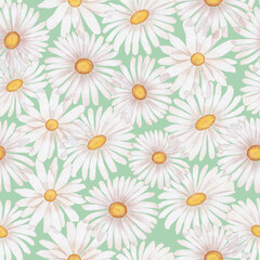 Large chamomile flowers. Vintage seamless pattern in a watercolor style. Pastel colors.