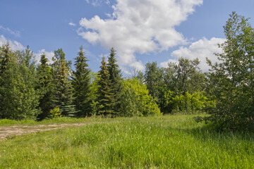 Pylypow Wetlands on a Sunny Summer Day