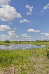 Pylypow Wetlands on a Sunny Summer Day