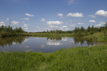 Fototapeta na wymiar Pylypow Wetlands on a Sunny Summer Day
