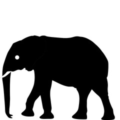 Fototapeta premium Plain black Elephant icon vector illustration