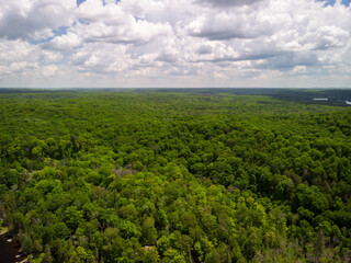 Fototapeta na wymiar An aerial view of a forrest and large clouds in Ontario, Canada.