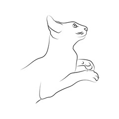 Outline illustration of domestic cat. Silhouette of cat isolated on white background. Animal care, welfare and protection concept. Sketch, linear drawing in minimalist style